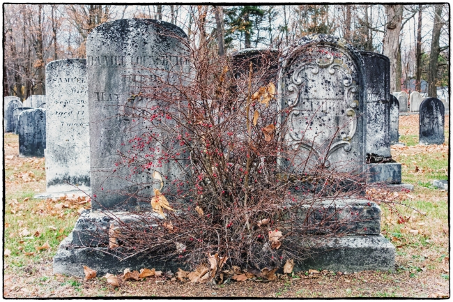 shruboakcemetery-1