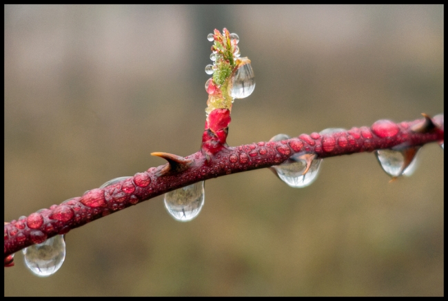 waterdroplets-1