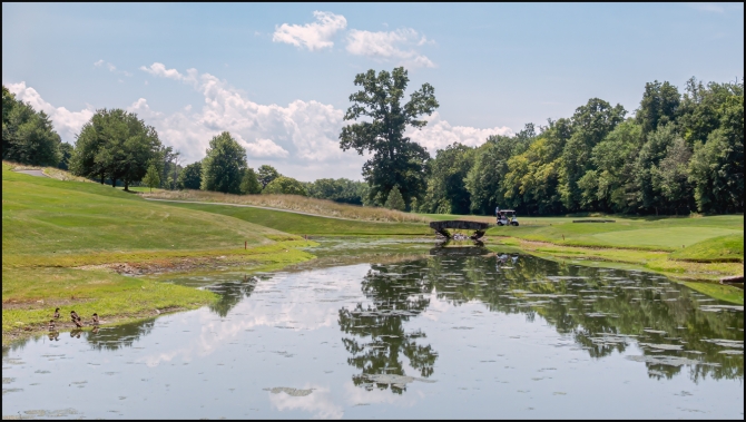 walkhomefrompati-trumpnational-3-of-3