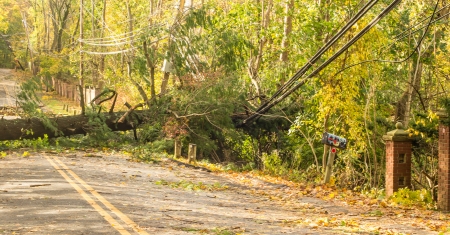 sandycleanup-2