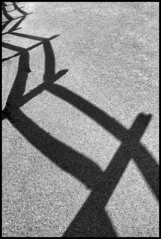 fencepostshadows