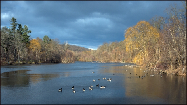 vemacypark-overview-1