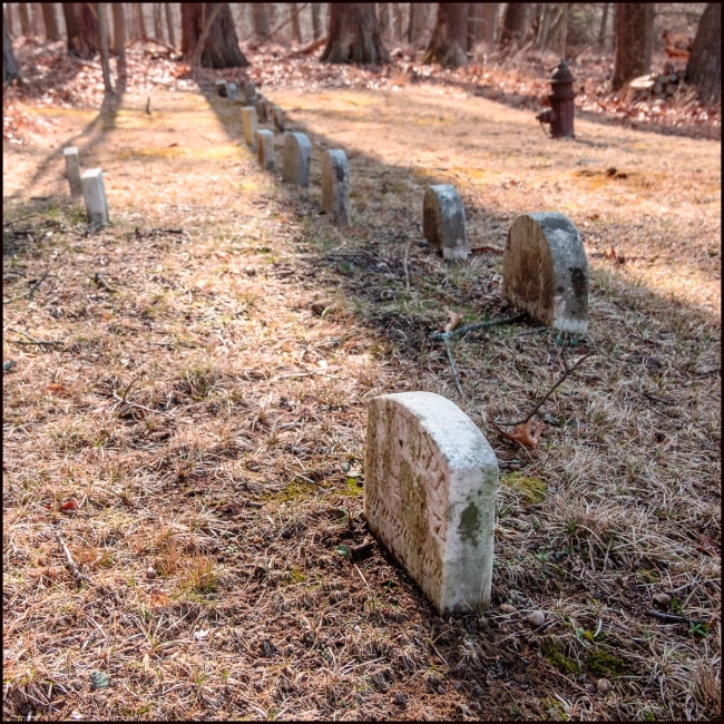 mersteadpetcemetery-7