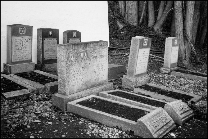 congregationsonsofisraelcemetery-2-of-14