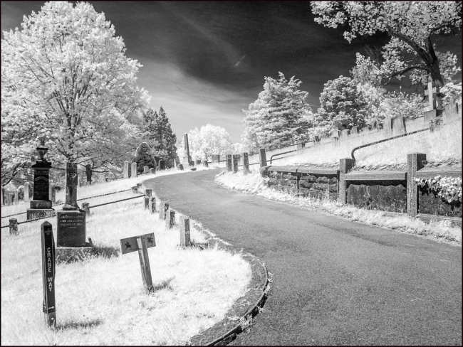 Sleepy Hollow Cemetery, May 2023