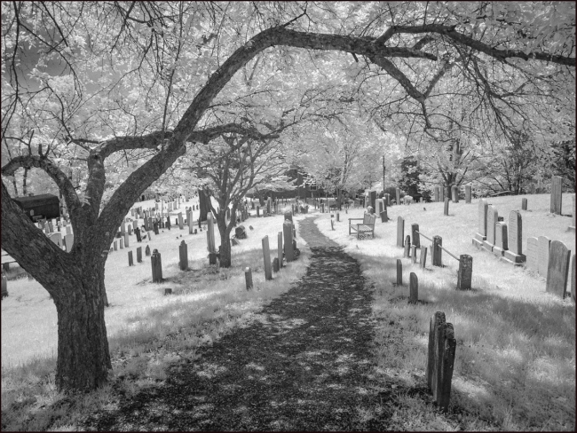 Old Dutch Burying Ground, Sleepy Hollow, May 2023