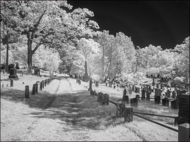 Sleepy Hollow Cemetery, May 2023