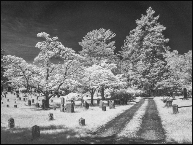 Sleepy Hollow Cemetery, May 2023