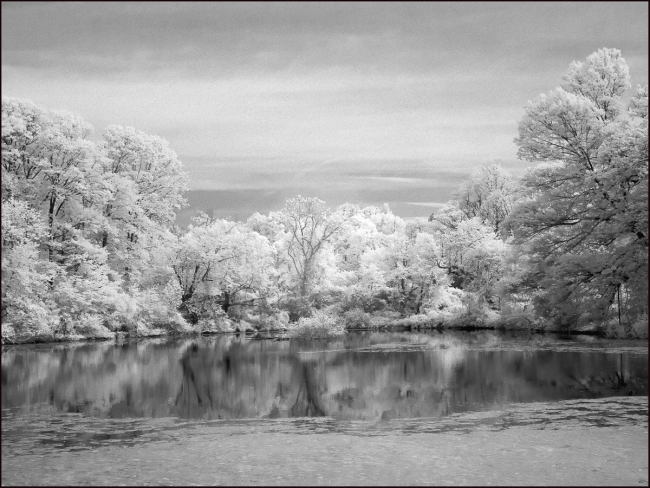 Briarcliff Lodge Pond, Briarcliff Manor, May 2023