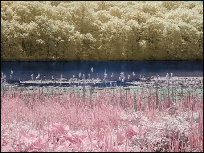 falsecolorinfrared-2-of-5
