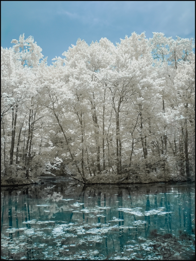falsecolorinfrared-3-of-5