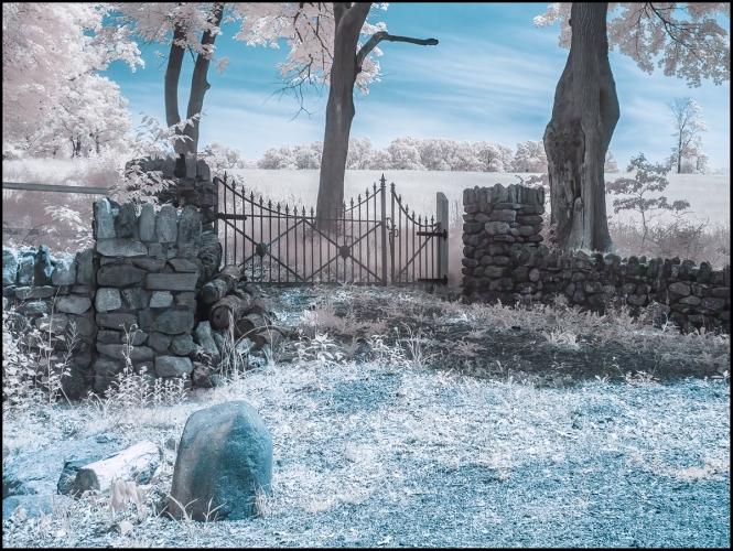 falsecolorinfrared-5-of-5