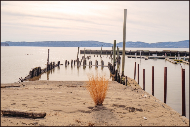 onrivercrotonabandonedjetty-1