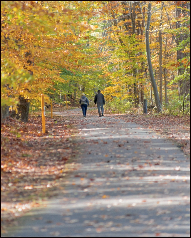 tarytownlakes-park-4