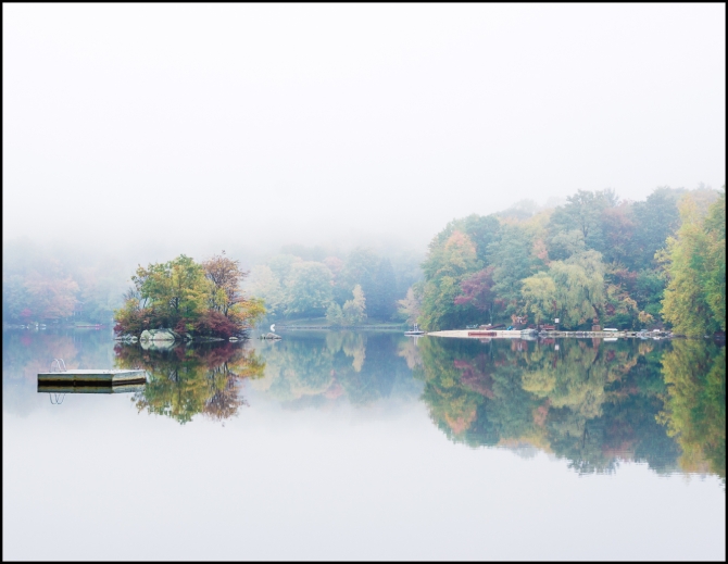 Foggy morning