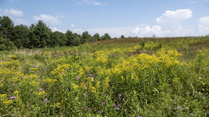 visittoupstatenyvermontsaratogabattlesite-1-of-18