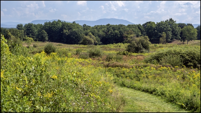 visittoupstatenyvermontsaratogabattlesite-3-of-18