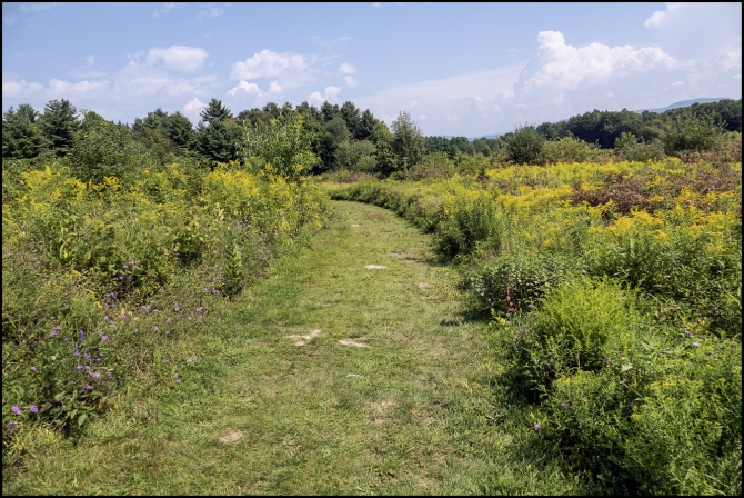 visittoupstatenyvermontsaratogabattlesite-5-of-18