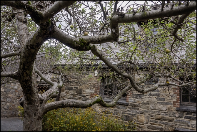 visttoupstatenyvermont_stonebarns-19-of-19