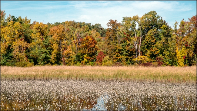 waterylandscape-1