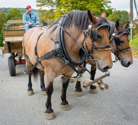 Hayride at Tomkins Corners