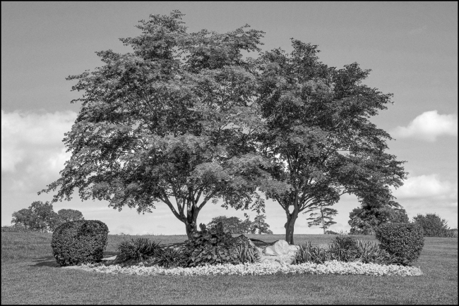 Kensico-Cemetery-Landscape-August-27-2023